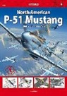 Kamil Gmerek, Robert Wasik - North American P-51 Mustang