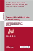 Akash Awasthi, Ngan Le, Shengwu Li, Sheng Liu, Vishal M Patel et al, Hien van Nguyen... - Emerging LLM/LMM Applications in Medical Imaging