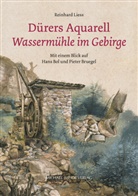 Reinhard Liess - Dürers Aquarell "Wassermühle im Gebirge"
