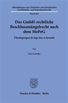 Luca Lowsky - Das GmbH-rechtliche Beschlussmängelrecht nach dem MoPeG
