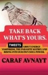 Caraf Avnayt - Take Back What's Yours