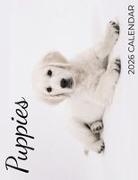 B. Patrick - Puppies 2026 Calendar