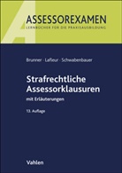 Raimund Brunner, Meike Lafleur, Pet Schwabenbauer, Peter Schwabenbauer - Strafrechtliche Assessorklausuren