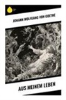 Johann Wolfgang von Goethe - Aus meinem Leben