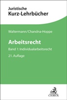 Katja Chandna-Hoppe, Söllner, Alfred Söllner, Raimund Waltermann - Arbeitsrecht