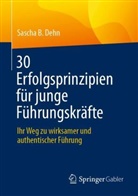 Sascha B Dehn, Sascha B. Dehn - 30 Erfolgsprinzipien für junge Führungskräfte