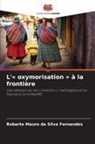 Roberto Mauro da Silva Fernandes - L'« oxymorisation » à la frontière