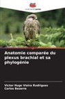 Carlos Bezerra, Victor Hugo Vieira Rodrigues - Anatomie comparée du plexus brachial et sa phylogénie