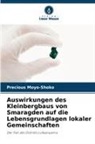 Precious Moyo-Shoko - Auswirkungen des Kleinbergbaus von Smaragden auf die Lebensgrundlagen lokaler Gemeinschaften