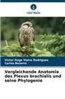 Carlos Bezerra, Victor Hugo Vieira Rodrigues - Vergleichende Anatomie des Plexus brachialis und seine Phylogenie