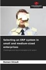 Roman Strauß - Selecting an ERP system in small and medium-sized enterprises