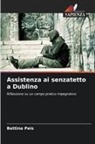 Bettina Peis - Assistenza ai senzatetto a Dublino