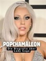 Felix Herrmann - Popchamäleon