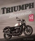 Ian Falloon - Triumph Bonneville