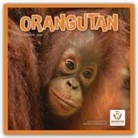 Carousel Calendar - Orangutan - Orang-Utan 2026 - Wand-Kalender