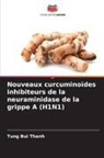 Tung Bui Thanh - Nouveaux curcuminoïdes inhibiteurs de la neuraminidase de la grippe A (H1N1)
