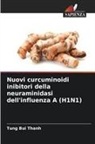Tung Bui Thanh - Nuovi curcuminoidi inibitori della neuraminidasi dell'influenza A (H1N1)