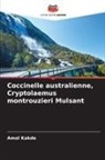 Amol Kakde - Coccinelle australienne, Cryptolaemus montrouzieri Mulsant