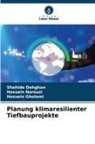 Shahide Dehghan, Hossein Gholami, Hossein Norouzi - Planung klimaresilienter Tiefbauprojekte