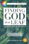 Brian Grogan - Finding God in a Leaf