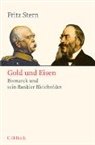 Fritz Stern - Gold und Eisen