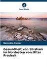 Narendra Kumar - Gesundheit von Shisham im Nordosten von Uttar Pradesh