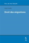 Cesla Amarelle - Droit des migrations