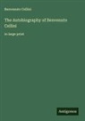 Benvenuto Cellini - The Autobiography of Benvenuto Cellini