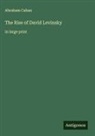 Abraham Cahan - The Rise of David Levinsky