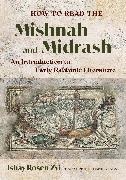 Ishay Rosen-Zvi,  Rosen-Zvi Ishay - How to Read the Mishnah and Midrash - An Introduction to Early Rabbinic Literature