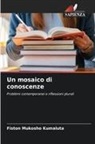 Fiston MUKOSHO KUMALUTA - Un mosaico di conoscenze