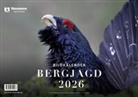 Bergjagd 2026