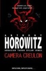 Anthony Horowitz - Cyfres Anthony Horowitz: Camera Creulon