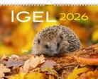 Kalender Igel 2026 Eintragkalender
