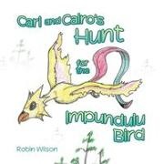 Robin Wilson - Cari and Cairo's Hunt for the Impundulu Bird