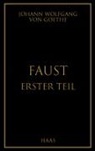 Johann Wolfgang von Goethe - Faust