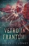 James J. Cudney - Vetro In Frantumi