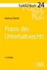 Helmut Borth - Praxis des Unterhaltsrechts