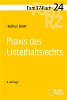 Helmut Borth - Praxis des Unterhaltsrechts