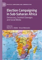 Darren G Lilleker, Darren Lilleker, Darren G. Lilleker, Mutsvairo, Bruce Mutsvairo - Election Campaigning in sub-Saharan Africa