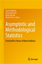 Daniel Hlubinka, Sárka Hudecová, Šárka Hudecová, Matús Maciak, Matúš Maciak, Matús Maciak et al... - Asymptotic and Methodological Statistics