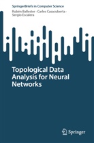 Rubén Ballester, Carles Casacuberta, Ser Escalera, Sergio Escalera - Topological Data Analysis for Neural Networks