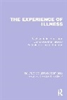 Ray Hinton Fitzpatrick, Fitzpatrick Ray, Hinton John, Newman Stanton, Scambler Graham, James Thompson - Experience of Illness