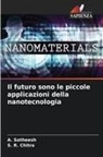 S. R. Chitra, A. Satheesh - Il futuro sono le piccole applicazioni della nanotecnologia