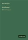 Peter Rosegger - Waldheimat