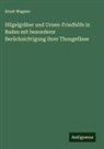 Ernst Wagner - Hügelgräber und Urnen-Friedhöfe in Baden mit besonderer Berücksichtigung ihrer Thongefässe
