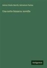 Anton Giulio Barrili, Salvatore Farina - Una notte bizzarra: novella