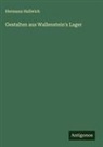 Hermann Hallwich - Gestalten aus Wallenstein's Lager