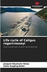 Joaquín Neumann Heise, Sofía Siegling Bohn - Life cycle of Caligus rogercresseyi