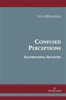 Luca Meldolesi - Confused Perceptions, Illuminating Analyses